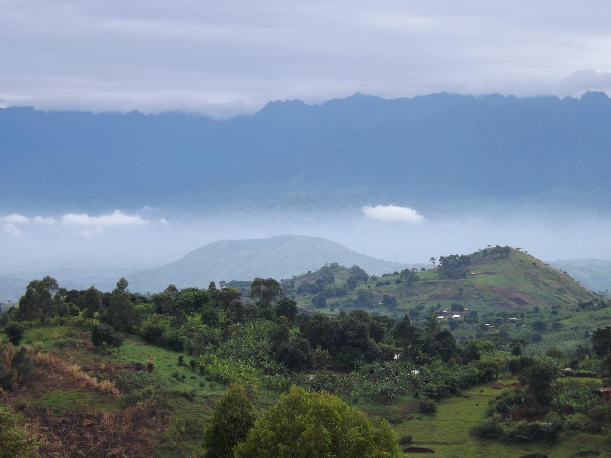Kibale National Park易松加旅馆别墅 外观 照片